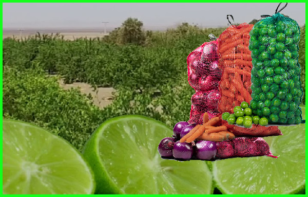 ARPILLAS
